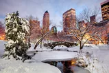 Winter in Central Park, New York City